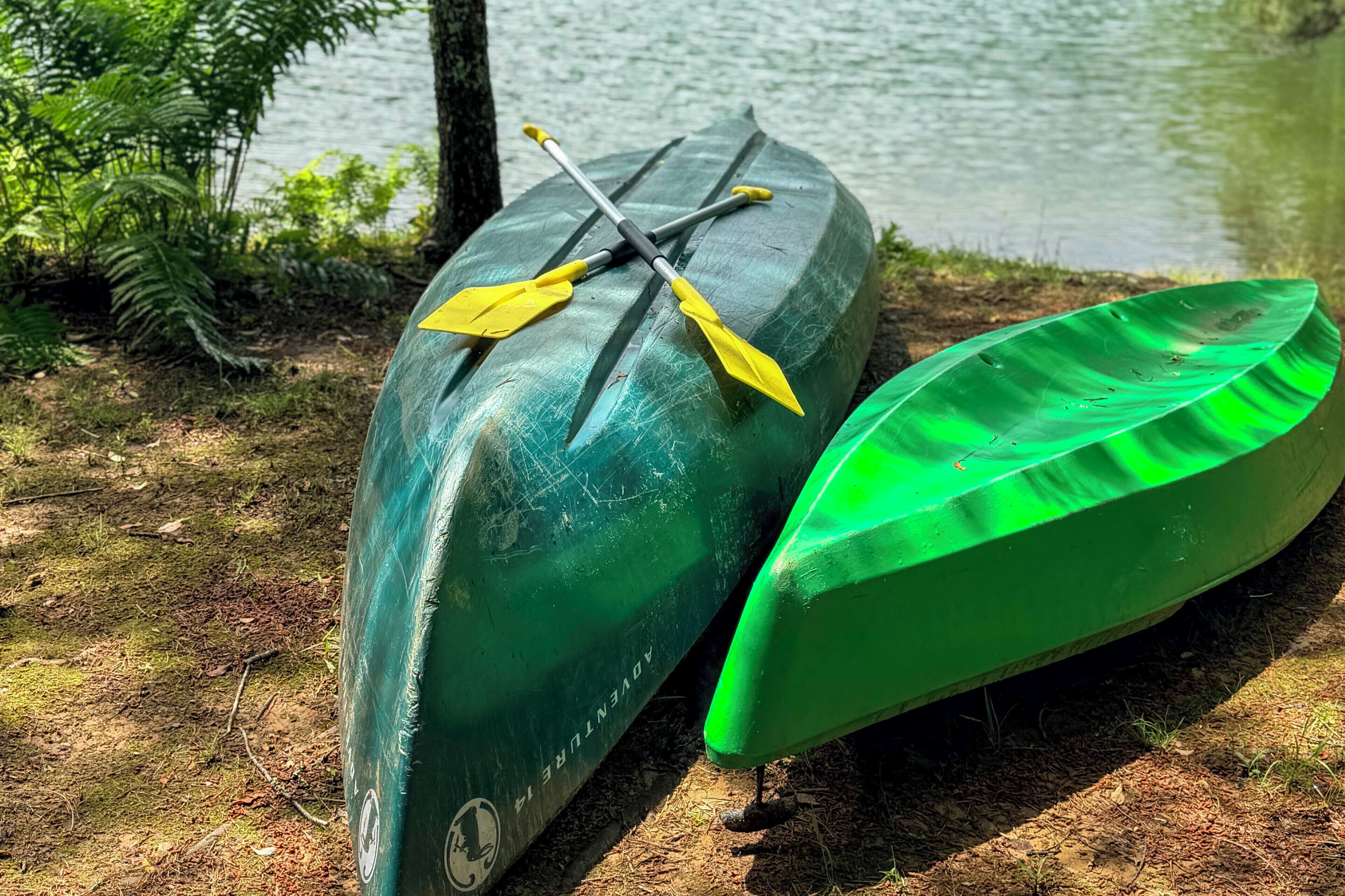 Two kayaks with paddles, one green and one teal, resting on a grassy area near a body of water.