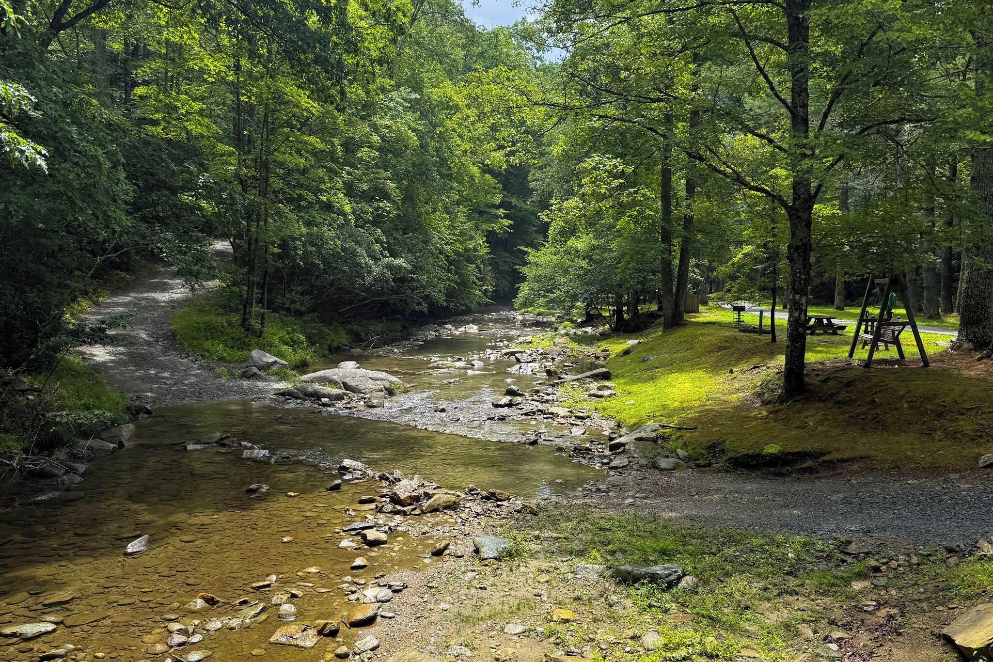 A forested area with a stream, a picnic table, and a swing set.