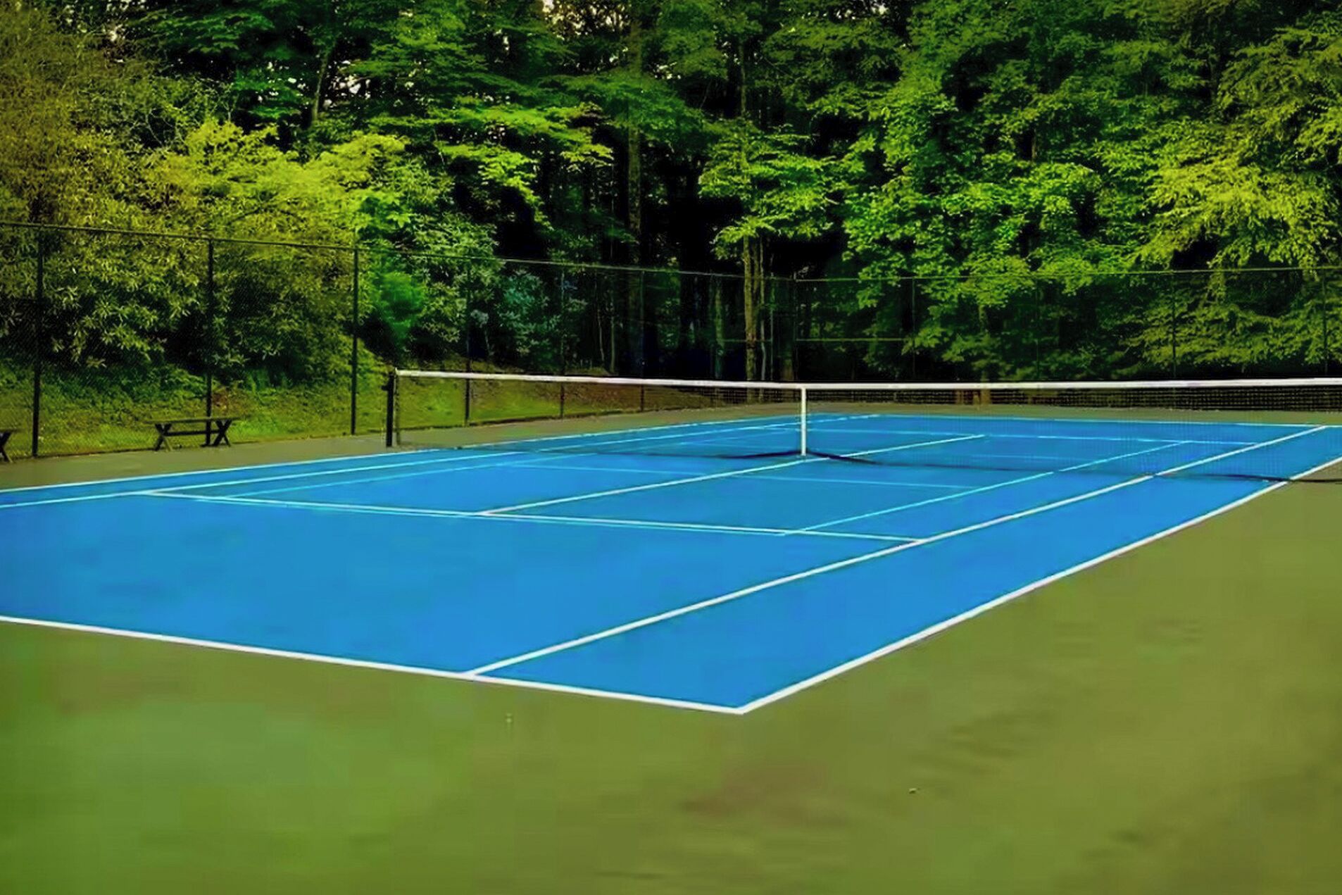 Un court de tennis avec un filet, entouré d’arbres.