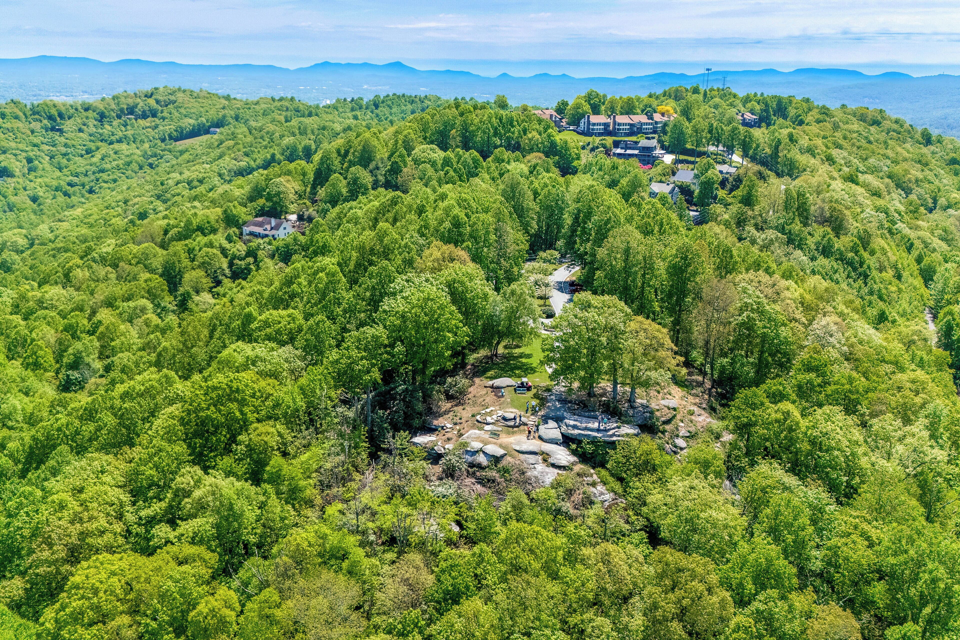 A forested area with a winding path leading to a cluster of buildings.