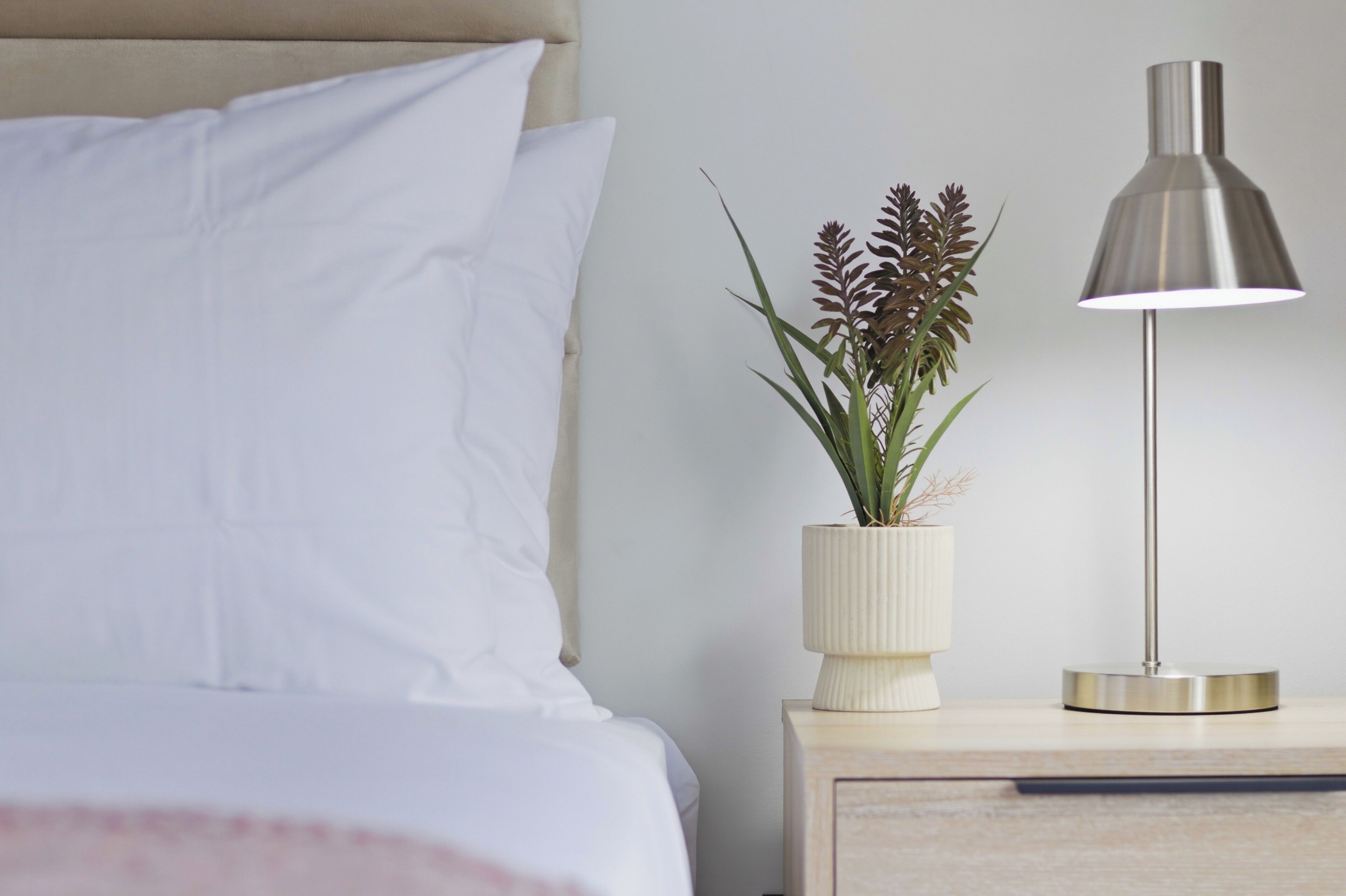 A bed with white bedding, a bedside table with a plant and a lamp, and a neutral-colored wall.