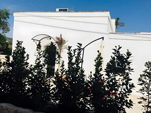 Ein weißes Gebäude mit flachem Dach, einer Straßenlaterne und einem kleinen Baum mit roten Blüten.
