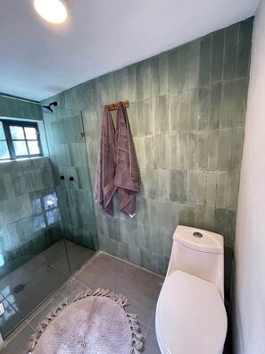 Ein Badezimmer mit einer Duschkabine aus Glas, einer Toilette und einem Teppich.