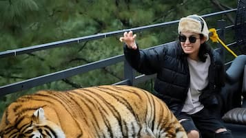 En person sitter bredvid en stor tiger på en balkong med ett räcke, och det finns grönska i bakgrunden.