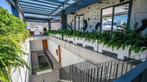 Un atrio de varios niveles con techo de vidrio, plantas de interior y una escalera.