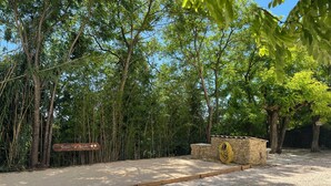 Un chemin de gravier mène à un panneau en bois, entouré d’un dense bosquet de bambous et d’arbres.