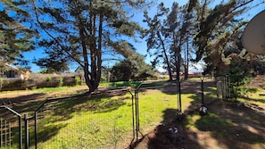 A fenced outdoor area with trees and a clear sky.