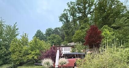 Our small chalet in the heart of the Palatinate Forest. Relaxation, hiking, romance.
