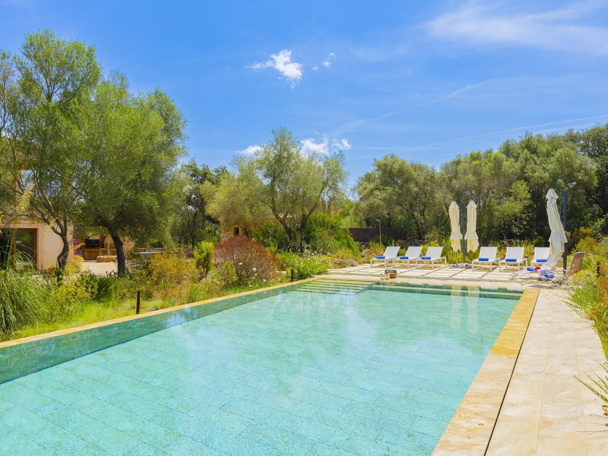 Piscina límpida com espreguiçadeiras e guarda-sóis, cercada por árvores e vegetação.