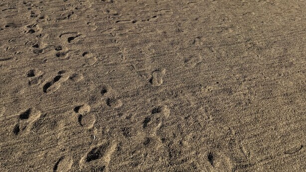 Ein See mit vertäuten Booten, ein Sandstrand und ein klarer Himmel.