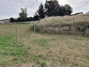 A grassy field with a fence and trees in the background.