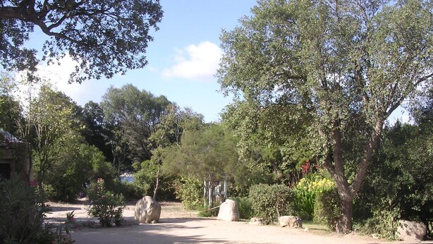 Un jardí amb arbres, un camí de terra i una construcció de pedra.