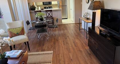 Houston TX - Houston Stadium - 2Be/2Ba Condo - WORLD CUP!!!