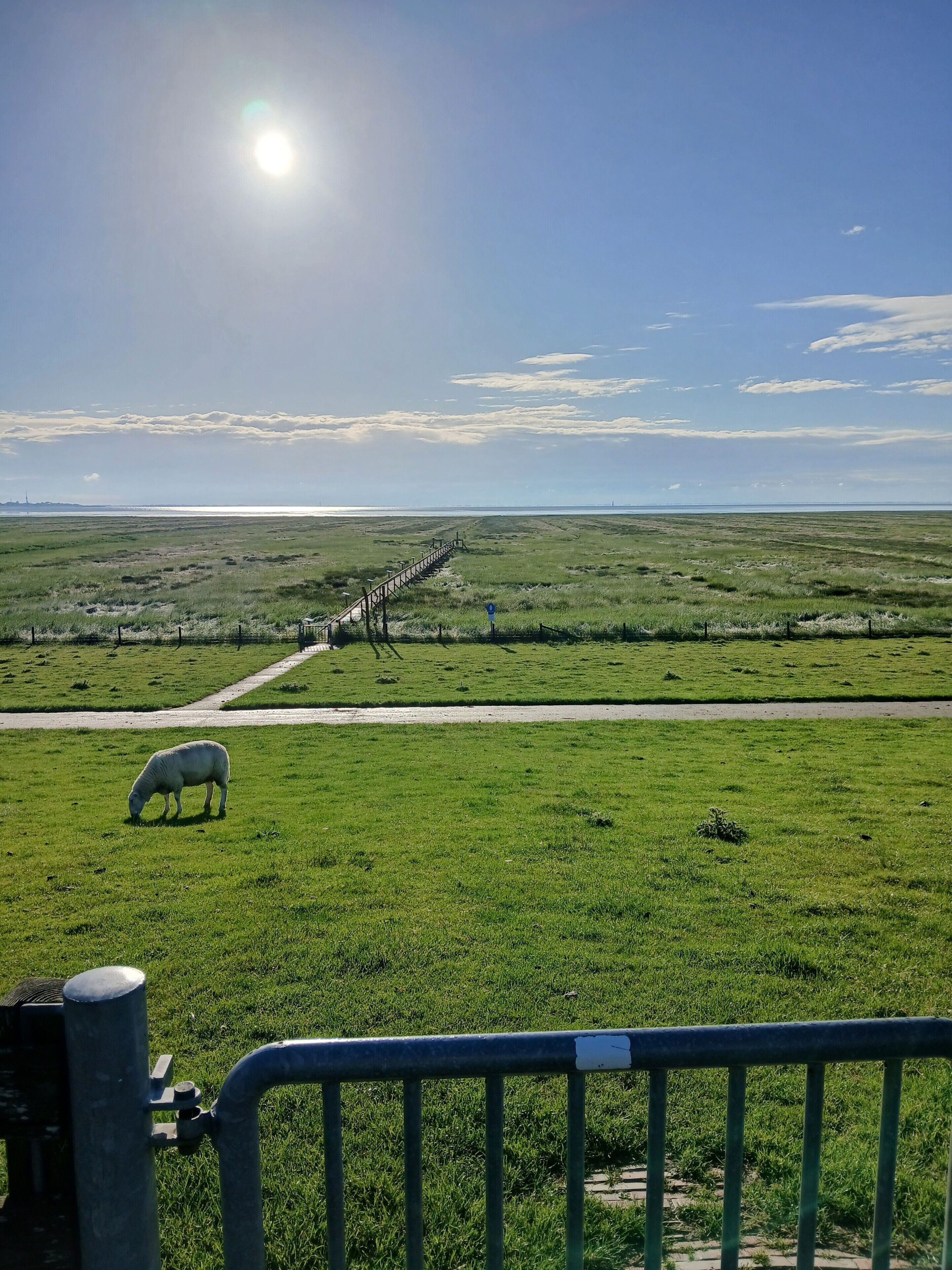 Un champ verdoyant où paît un mouton, un sentier qui mène à un bâtiment situé au loin, et un ciel dégagé.