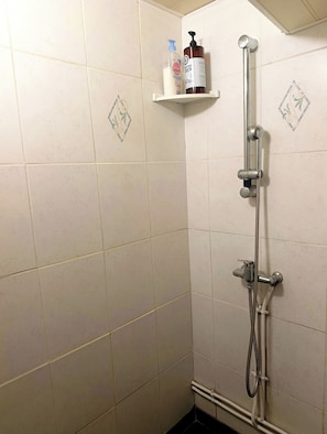Eine Dusche mit Duschhandstück, Wandarmatur und Ablage für Toilettenartikel.