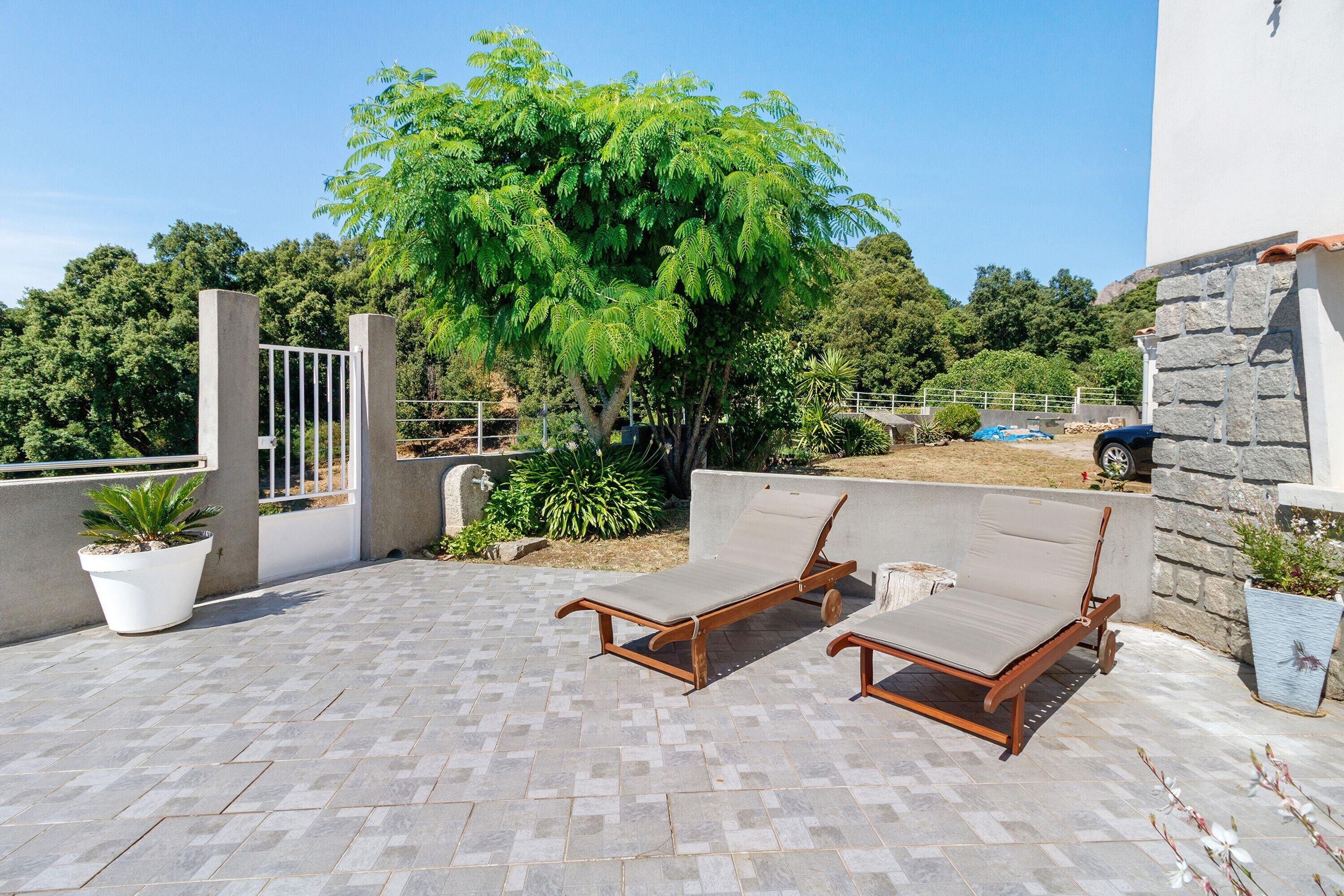 A patio with two wooden lounge chairs, a potted plant, and a stone wall.