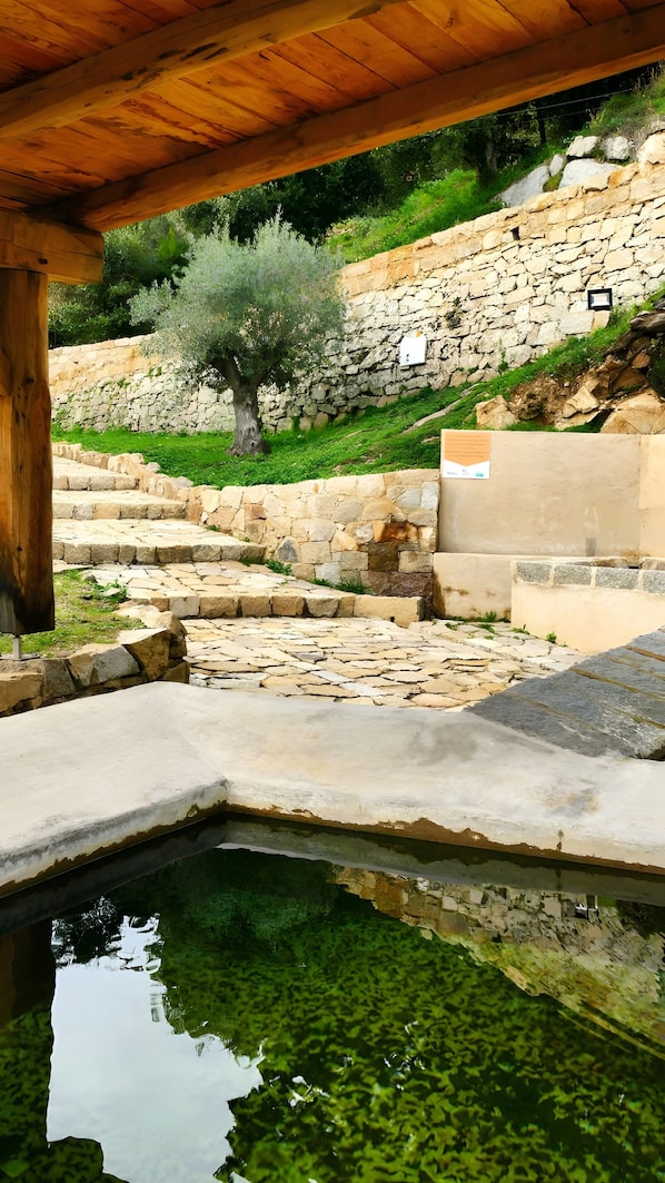 سبا