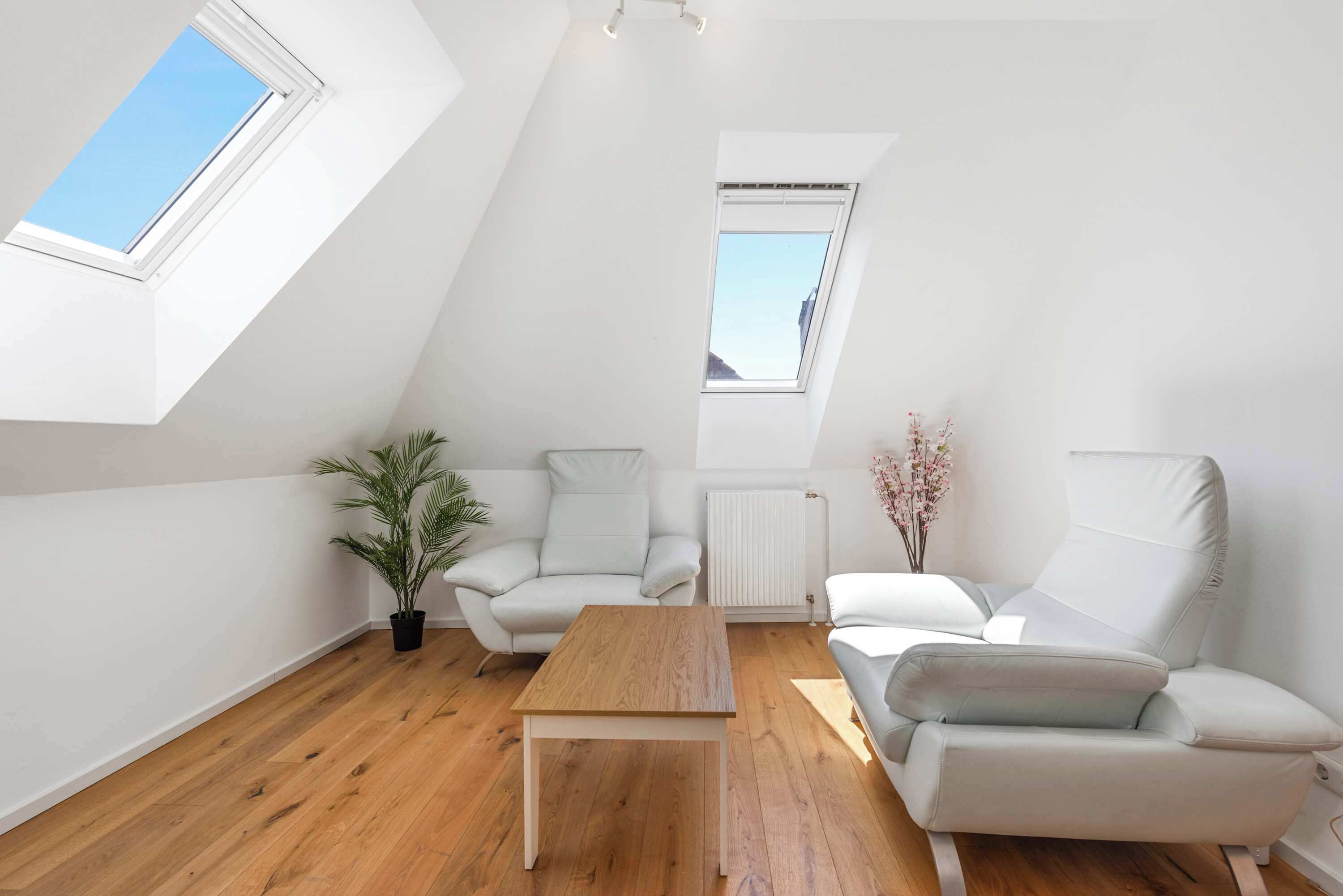 Um loft moderno com teto inclinado, dois sofás brancos, uma mesa de centro de madeira, uma planta em vaso e janelas no teto.