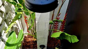 A water feature with a black top, a white base, and a red bottom, surrounded by green foliage.