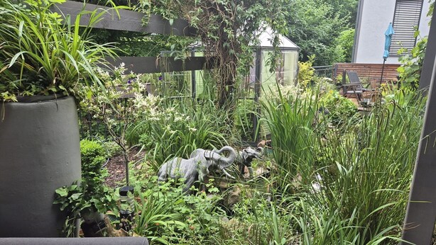 Een weelderige tuin met verschillende planten en een klein beeldhouwwerk.
