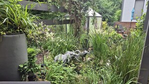 Un jardí exuberant ple de plantes diverses i una petita escultura.