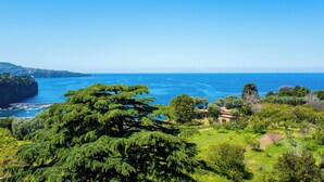 A coastal landscape with a clear view of the sea, lush greenery, and a small building. - YourHome - La Terrazza nel Blu (Piano di Sorrento)