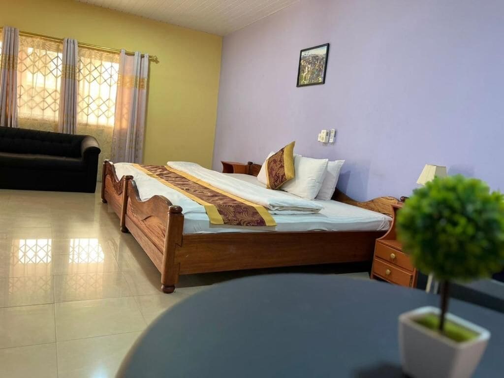 Una habitación con cama, sofá, una mesita y una planta en maceta.