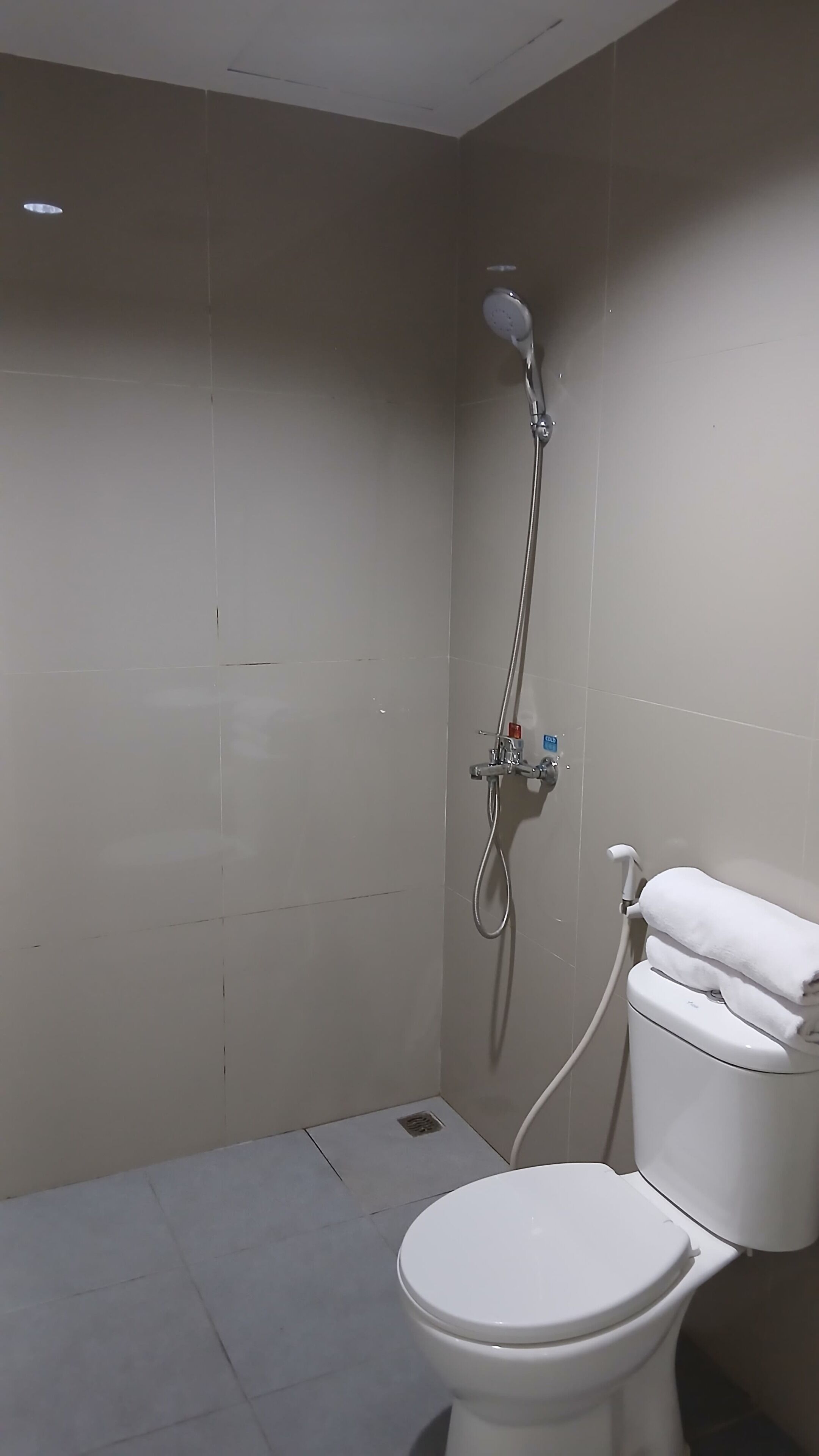 A bathroom with a toilet, a shower, and a towel rack.