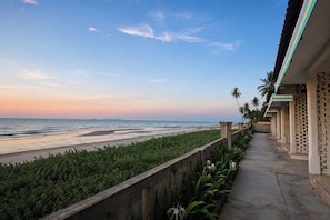 Une vue sur la côte, avec un sentier en béton, des palmiers et une plage.