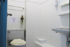 A bathroom with a toilet, a sink, and a shower.