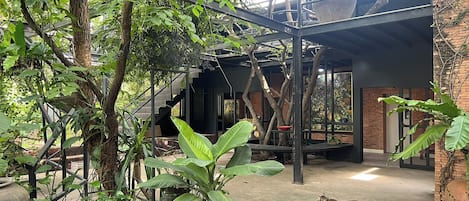 A courtyard with potted plants, a cat, and a staircase leading to an upper level.