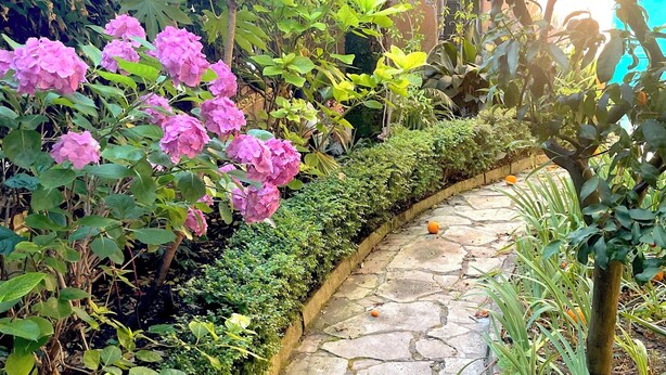 Ein gepflasterter Weg schlängelt sich durch einen Garten mit rosafarbenen Blumen und üppigem Grün.