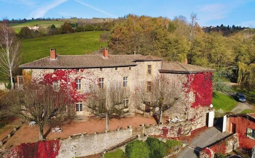 Château de Charfetain, domaine du 17ème offrant plusieurs dépendances de charme.