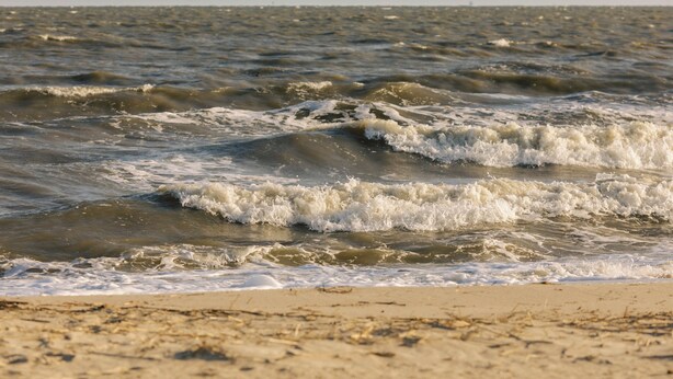 Una playa con olas acercándose a la orilla.