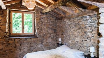 Fer et planche à repasser