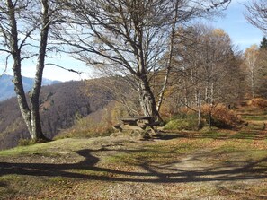 Un banc situĂ© dans un cadre naturel, entourĂ© dâarbres et avec une chaĂźne de montagnes en arriĂšre-plan.