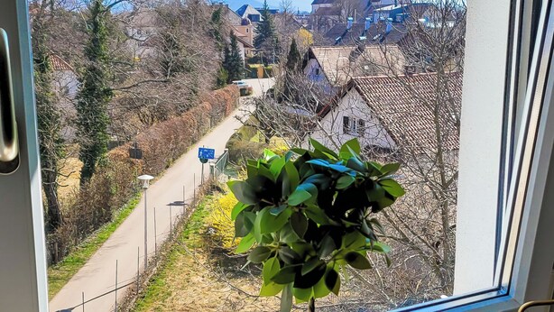 A window with a view of a town, a church spire, and a potted plant on the windowsill. - DG "R" Helle 40m² City Wohnung 15 min. von Salzburg (Freilassing)