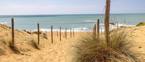 Playa