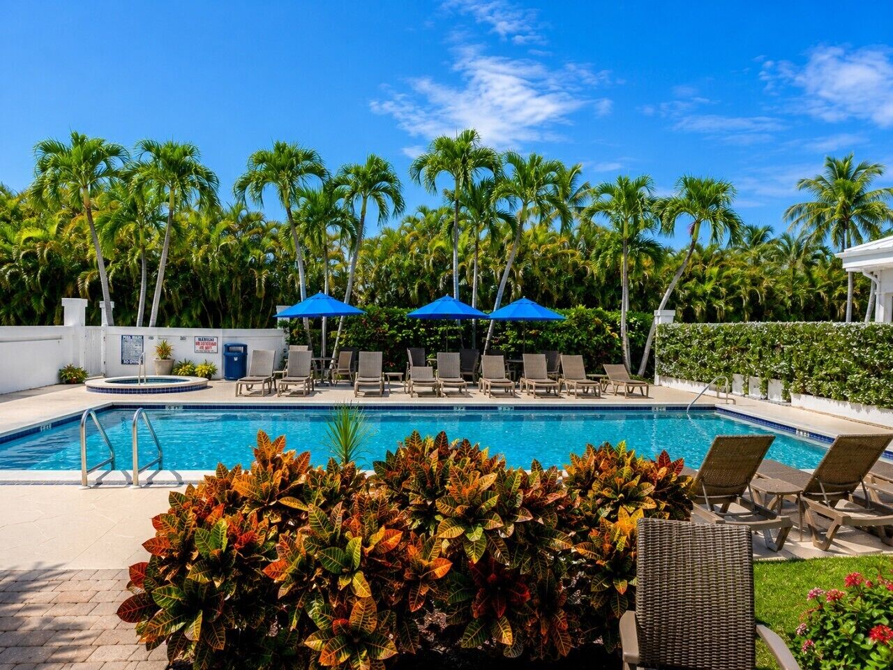 Une piscine entourée de palmiers et de verdure, avec des chaises longues et des parasols.
