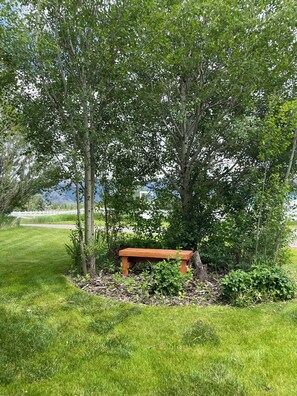 A wooden bench under a tree in a grassy area.