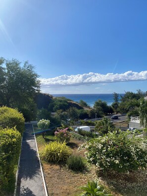 Ein Weg, der zu einer Küstenlandschaft mit Blick auf das Meer führt, umgeben von Grünpflanzen und einem wolkenlosen Himmel.