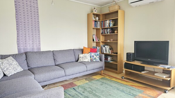 A living room with a grey sofa, a wooden bookshelf, a flat-screen TV, and a colorful rug.