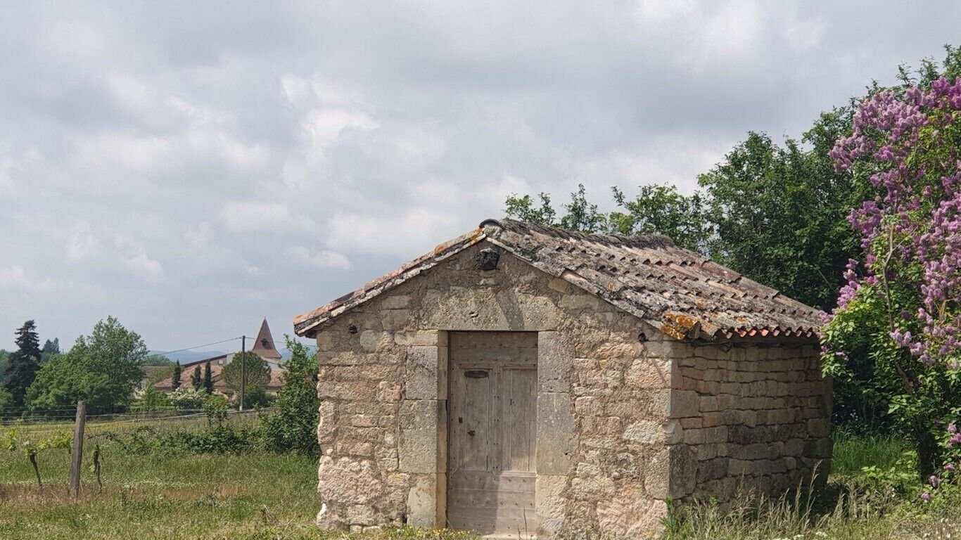 Un pequeño edificio de piedra con techo inclinado y puerta de madera, rodeado de follaje y árboles.