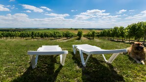 Two white lounge chairs facing a vineyard with a clear sky. - Holiday Home "La Cabane du Vigneron" with Shared Pool, Private Terrace & Air Conditioning (Donnazac)