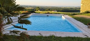 Ein rechteckiger Pool mit einer Steinmauer an einer Seite, umgeben von Gras und Pflanzen.