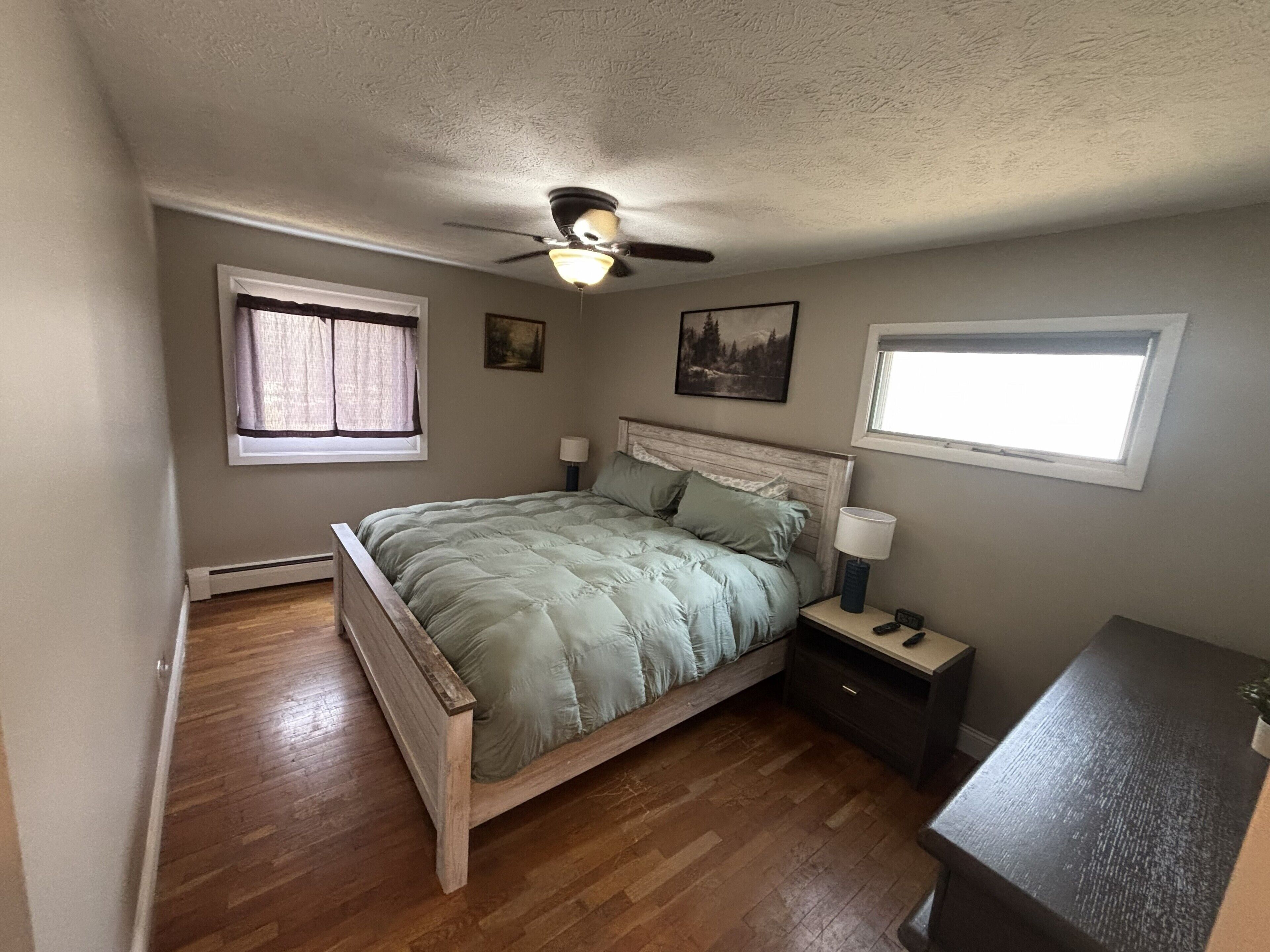 A bedroom with a bed, a nightstand, a desk, a ceiling fan, and two windows.