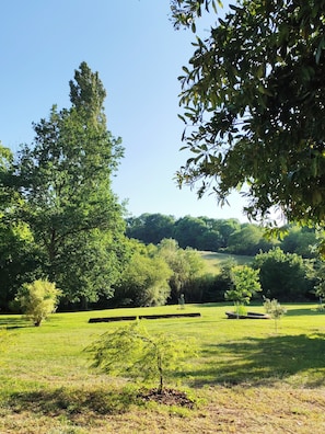 Ein Park mit verschiedenen Bäumen, einer grünen Wiese und einer sanften Erhebung in der Ferne.