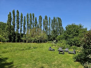 Ein grasbewachsenes Feld mit hohen Bäumen und einigen Plastikstühlen.