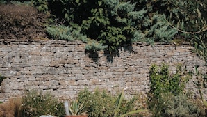 A stone wall, a swimming pool, and various plants.