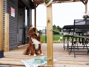 A dog sitting on a wooden deck with a metal fence and a table with chairs in the background. - Family stay at the educational farm | Spa included | 1h30 from Paris (Villiers-Saint-Orien)